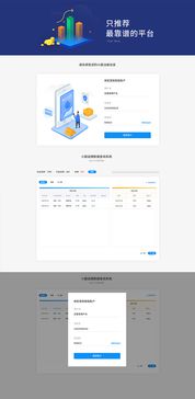 网站设计 构建数字时代的视觉与功能桥梁